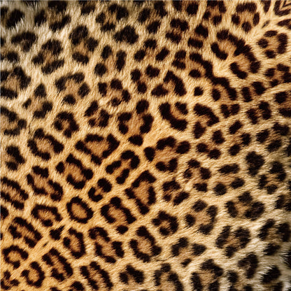 Animal Pattern Origami -Savanna Animals Type B (Zebra / Lion / Leopard)