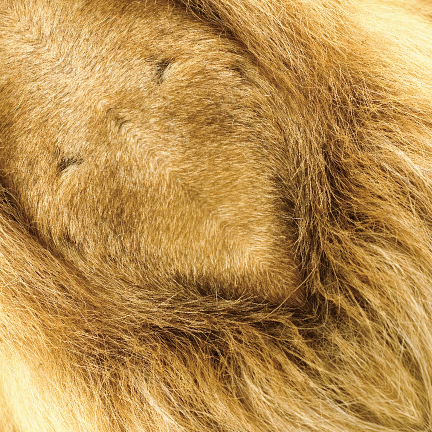 Animal Pattern Origami -Savanna Animals Type B (Zebra / Lion / Leopard)