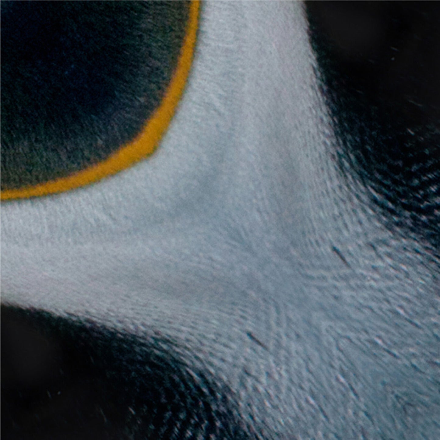 Animal Pattern Origami - Polar Animals Type C (Penguin / Seal)