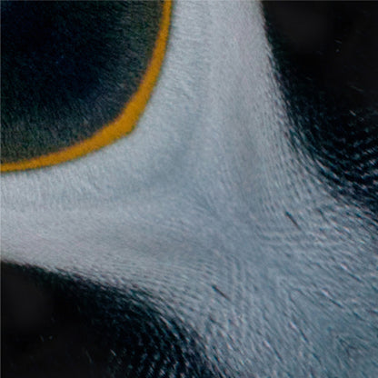 Animal Pattern Origami - Polar Animals Type C (Penguin / Seal)