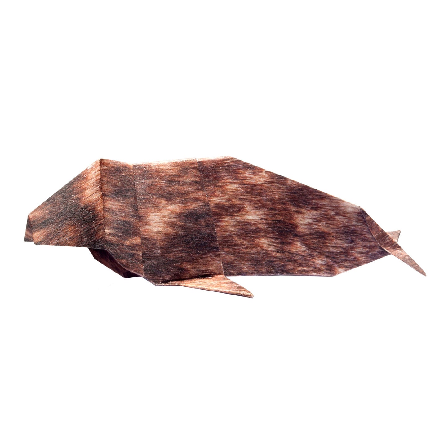 Animal Pattern Origami - Polar Animals Type C (Penguin / Seal)