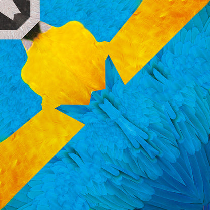 Animal Pattern Origami Animals Type F - Tropical Birds