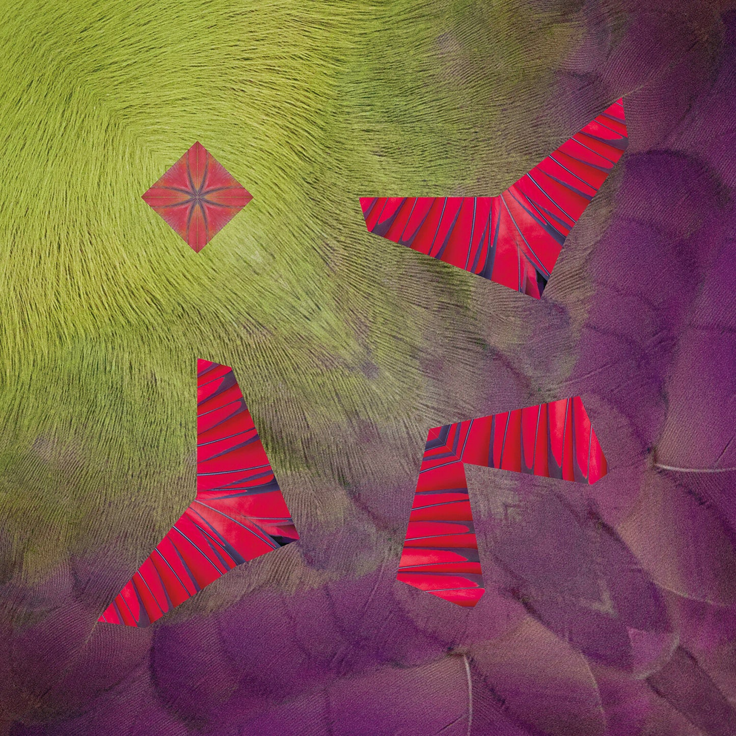 Animal Pattern Origami Animals Type F - Tropical Birds