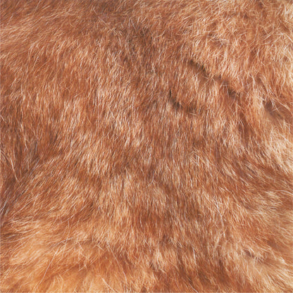 Animal Pattern Origami - Cat Breeds Type H (Maine Coon / Scottish Fold / Munchkin)