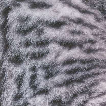 Animal Pattern Origami - Cat Breeds Type H (Maine Coon / Scottish Fold / Munchkin)