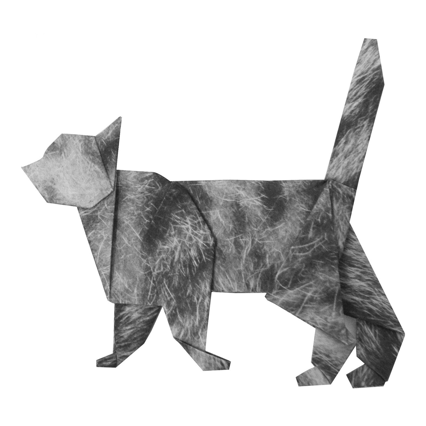 Animal Pattern Origami - Cat Breeds Type H (Maine Coon / Scottish Fold / Munchkin)