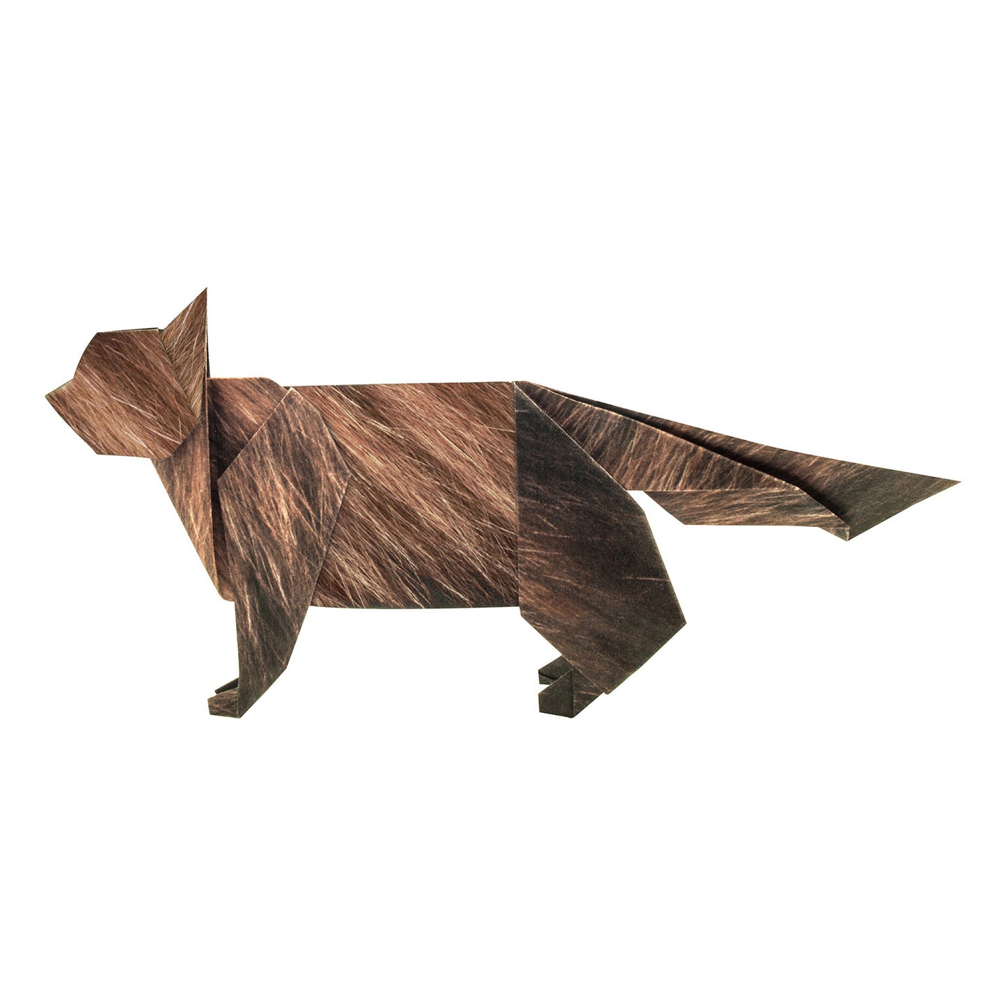 Animal Pattern Origami - Cat Breeds Type H (Maine Coon / Scottish Fold / Munchkin)