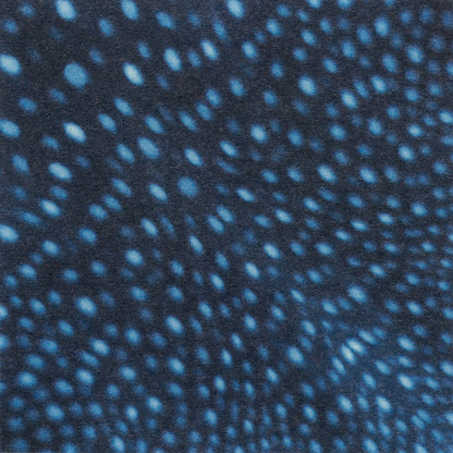 Animal Pattern Origami - Ocean Animals (Penguin, Seal and Whale Shark)