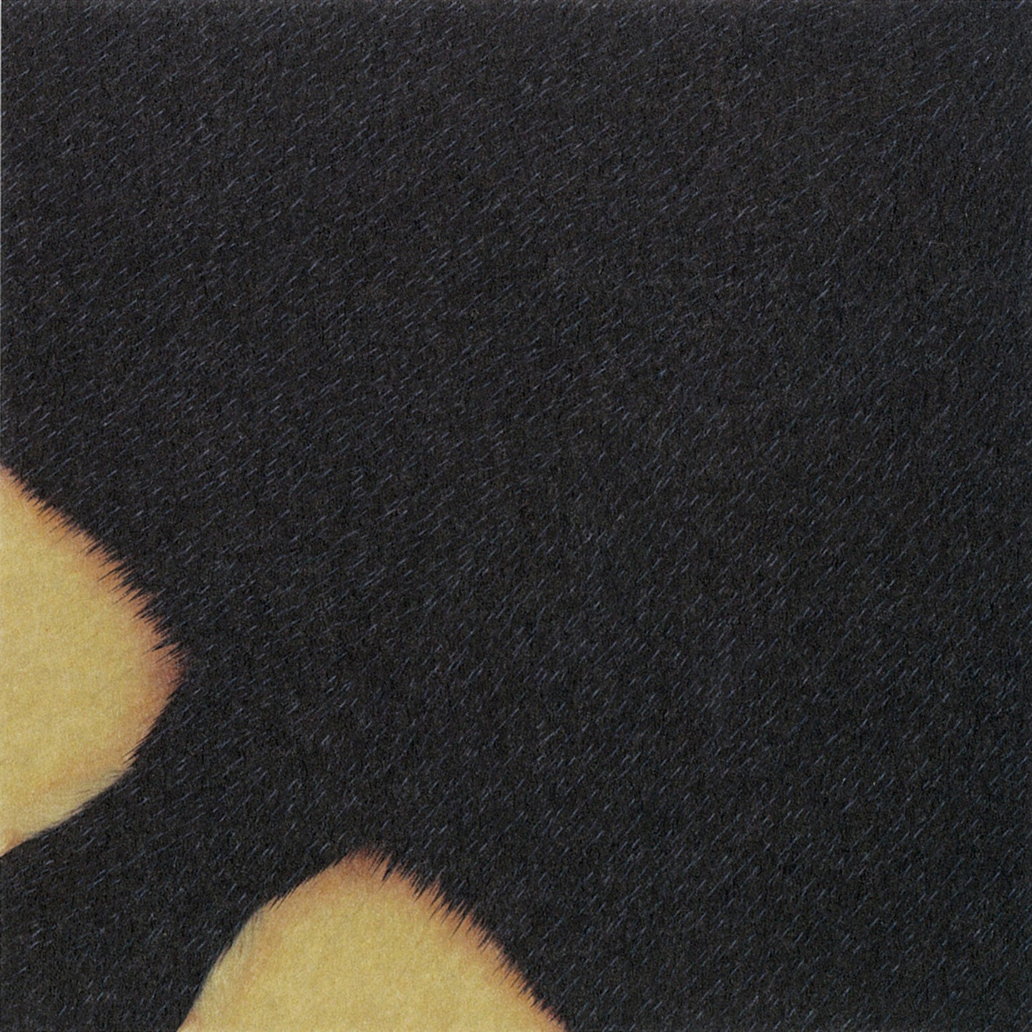 Animal Pattern Origami - Ocean Animals (Penguin, Seal and Whale Shark)