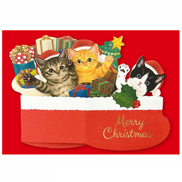 Christmas Box Card Cat Club