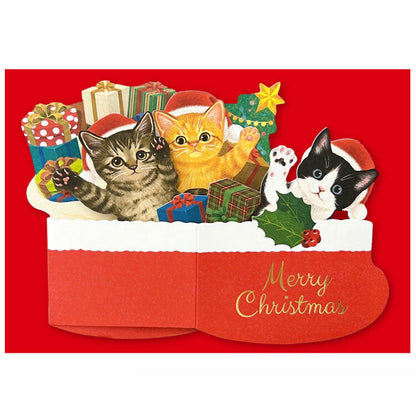 Christmas Box Card Cat Club