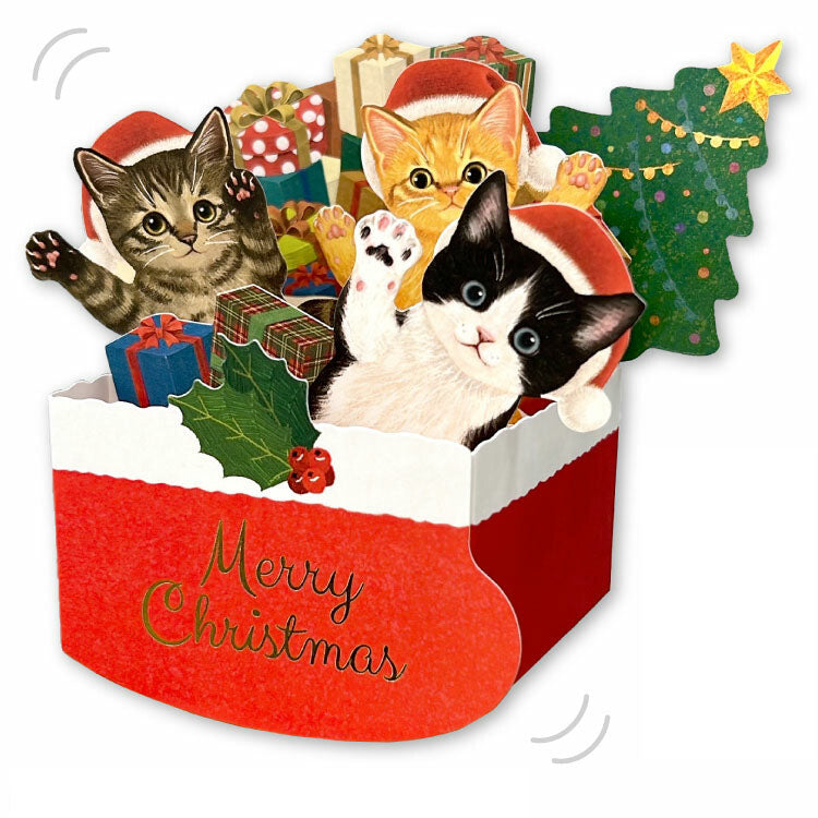 Christmas Box Card Cat Club