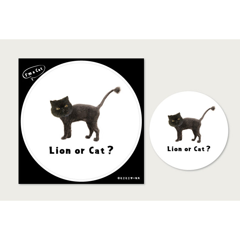 Cat Sticker Black Cat