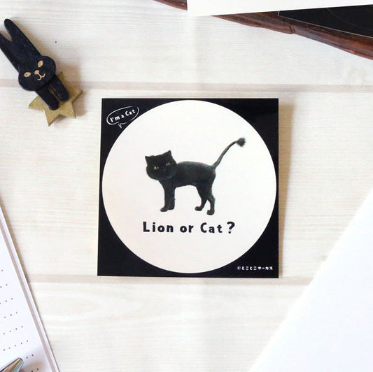 Cat Sticker Black Cat