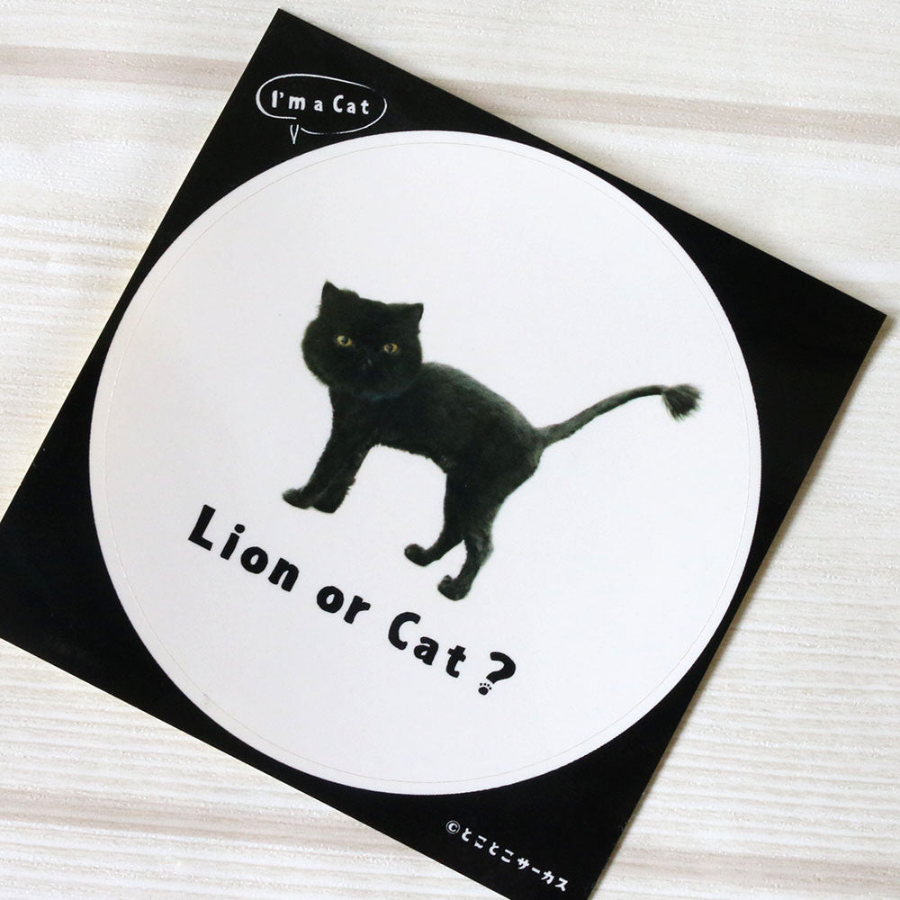 Cat Sticker Black Cat