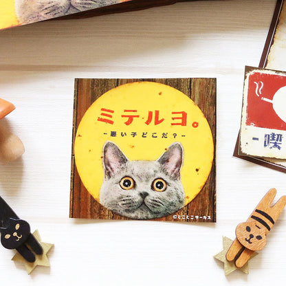 Cat Sticker