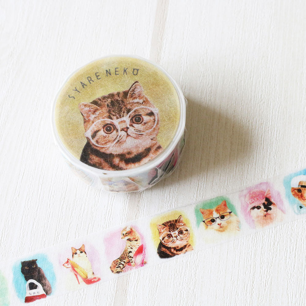 Cat Masking Tape