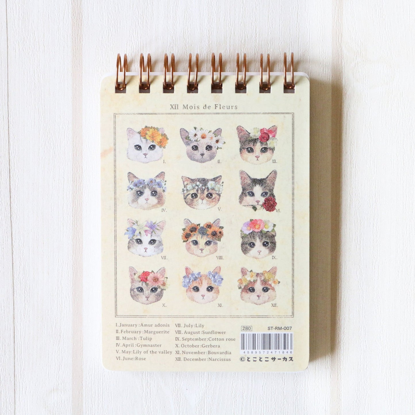 Cat Ring Notebook