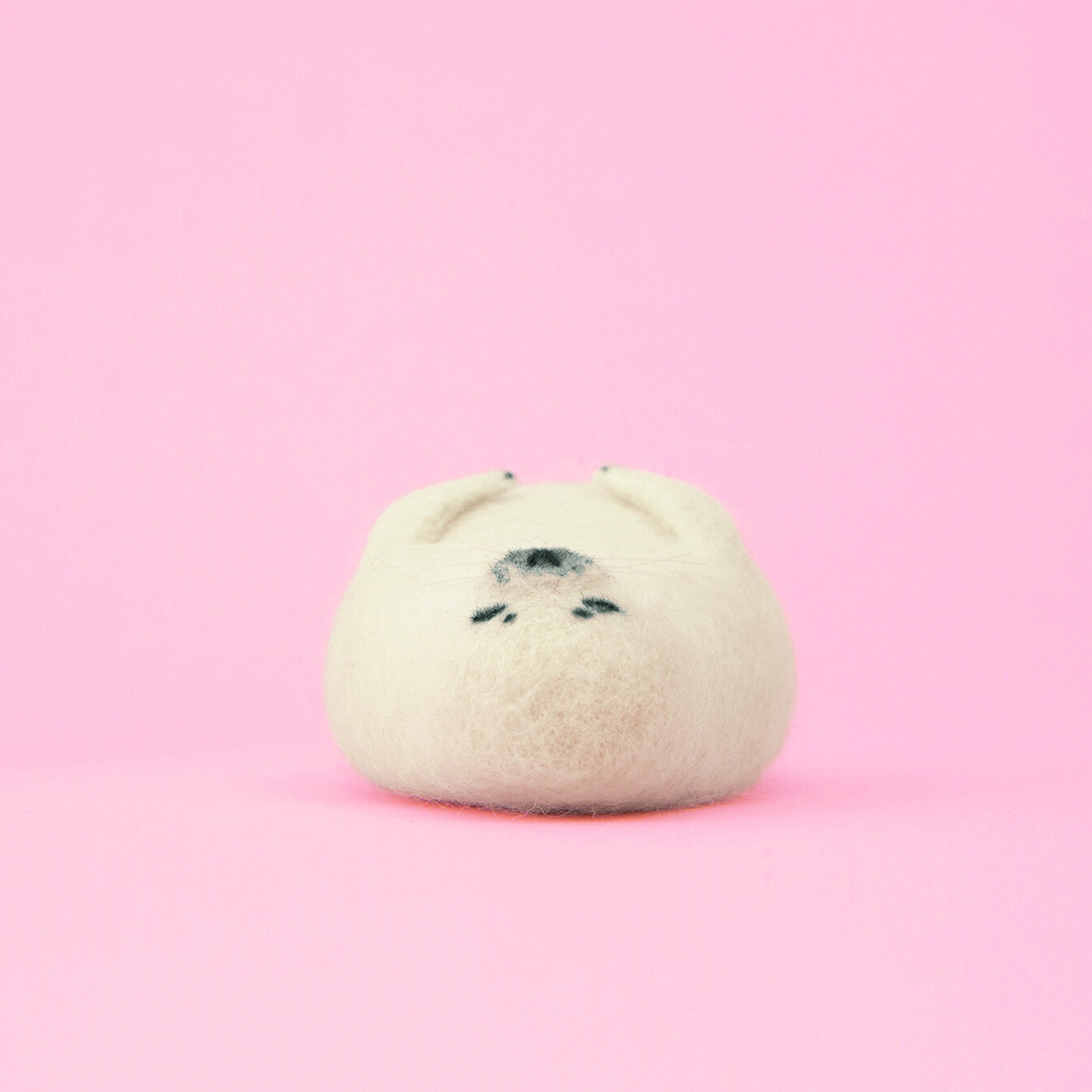 Needle Felting Kit Seal – DIY Wool Animal Craft