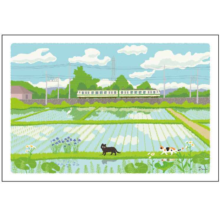 Summer Tabineko Postcard - Japanese Cat Traveling Series