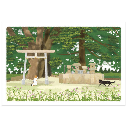 Summer Tabineko Postcard - Japanese Cat Traveling Series Torii