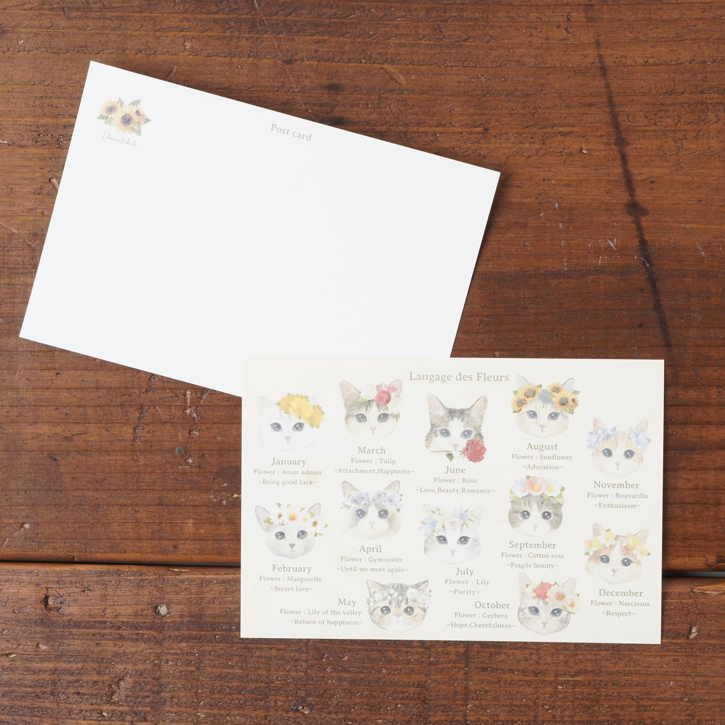 Postcard - Cat "fleurs & chats"