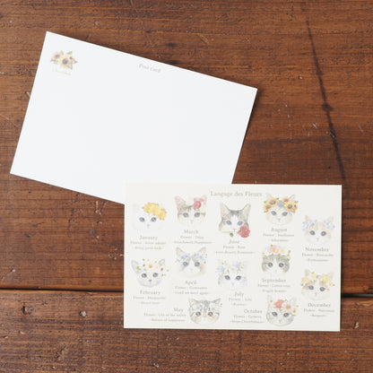 Postcard - Cat "fleurs & chats"