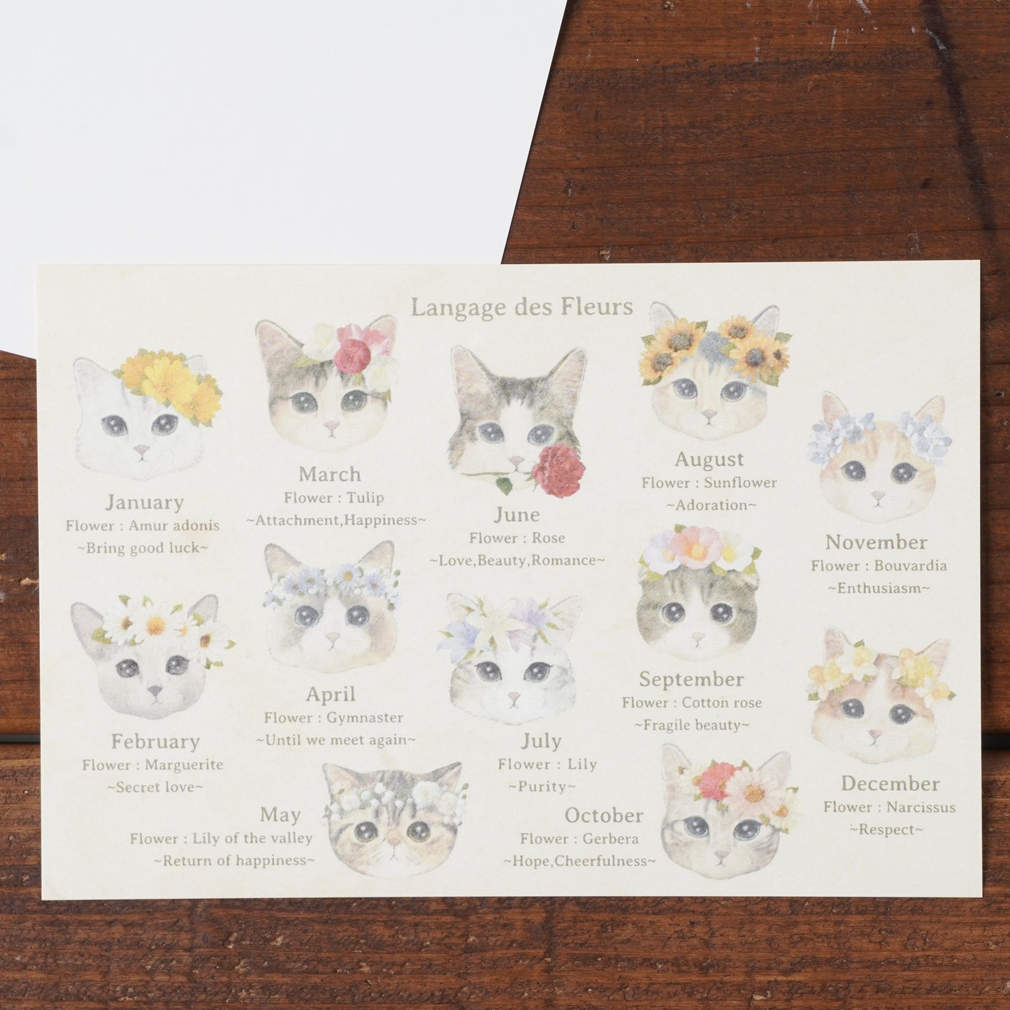 Postcard - Cat "fleurs & chats"
