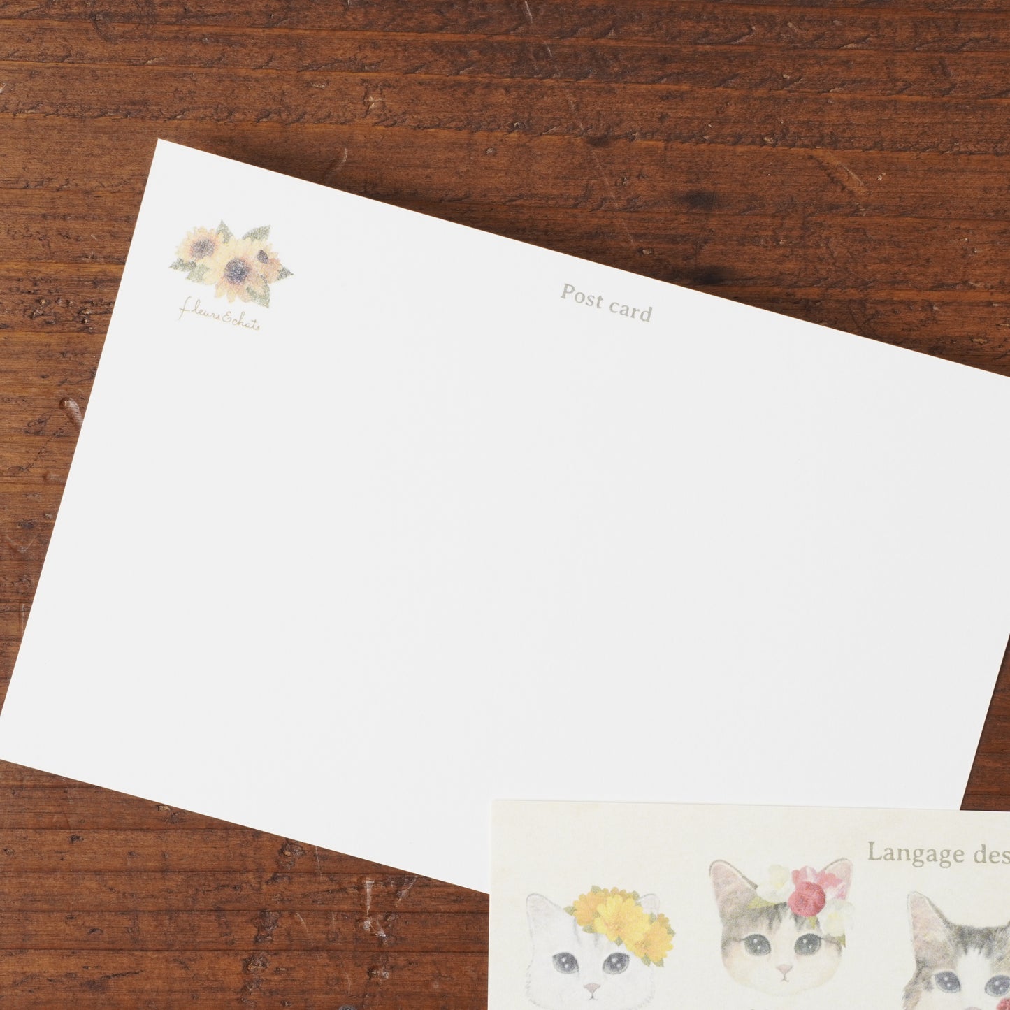 Postcard - Cat "fleurs & chats"