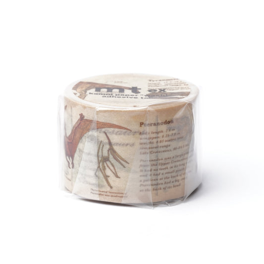 Masking Tape 30mm Width - Dinosaur