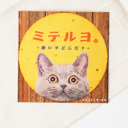 Cat Sticker