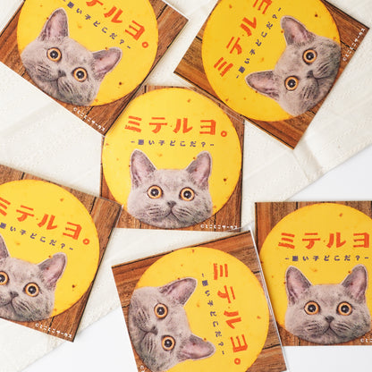 Cat Sticker