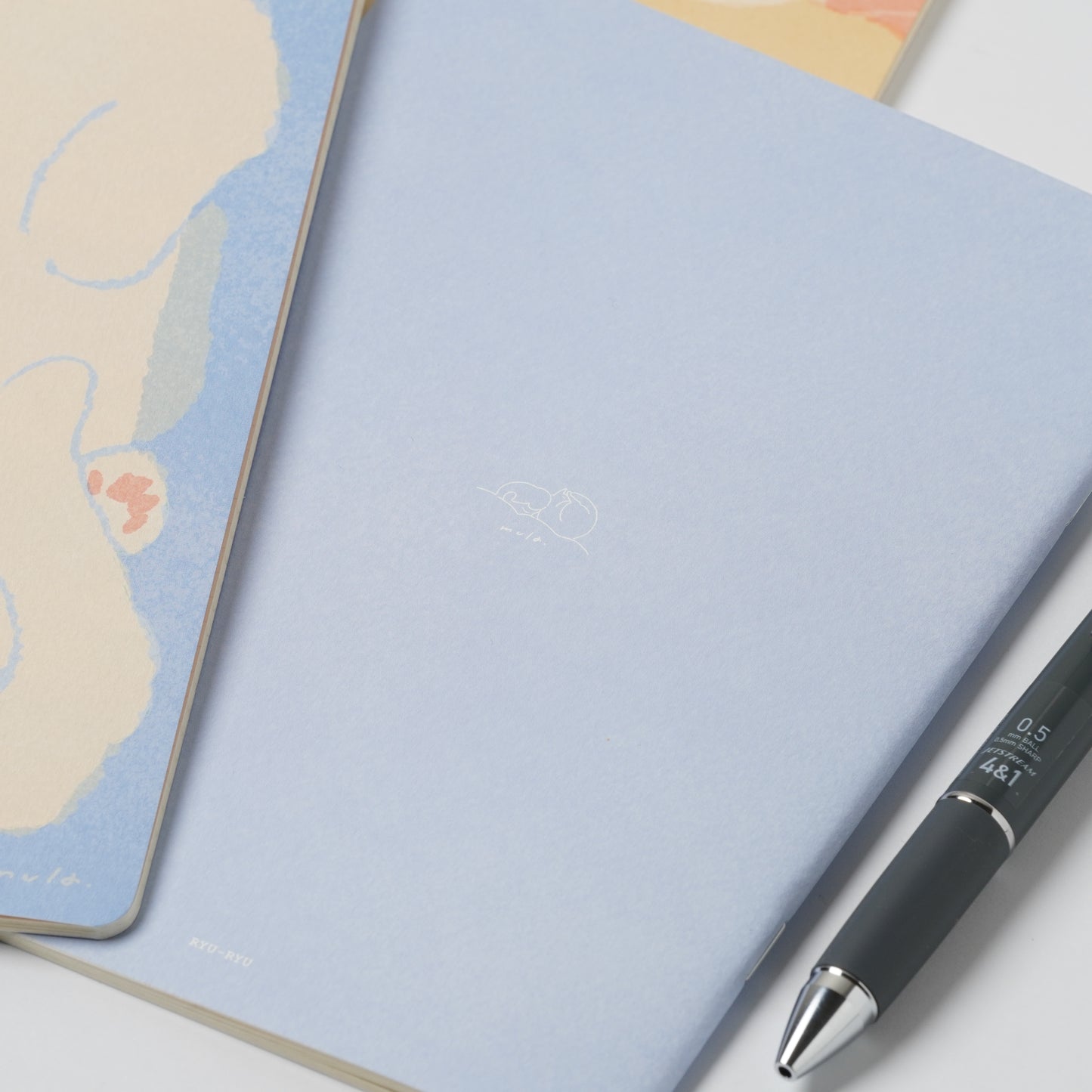 RYURYU Mula Notebook - Boxed Cat
