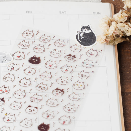 Daily reaction cat sticker