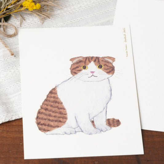 Cat Post Card Yusuke Yonezu