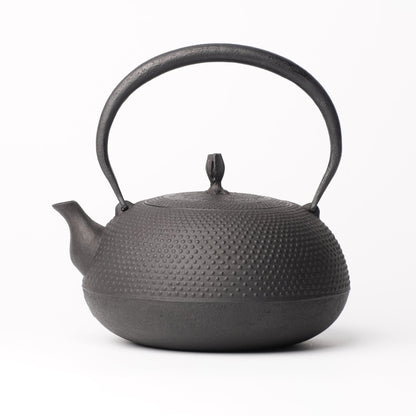 Kamasada Nanbutekki Iron Tea Pot