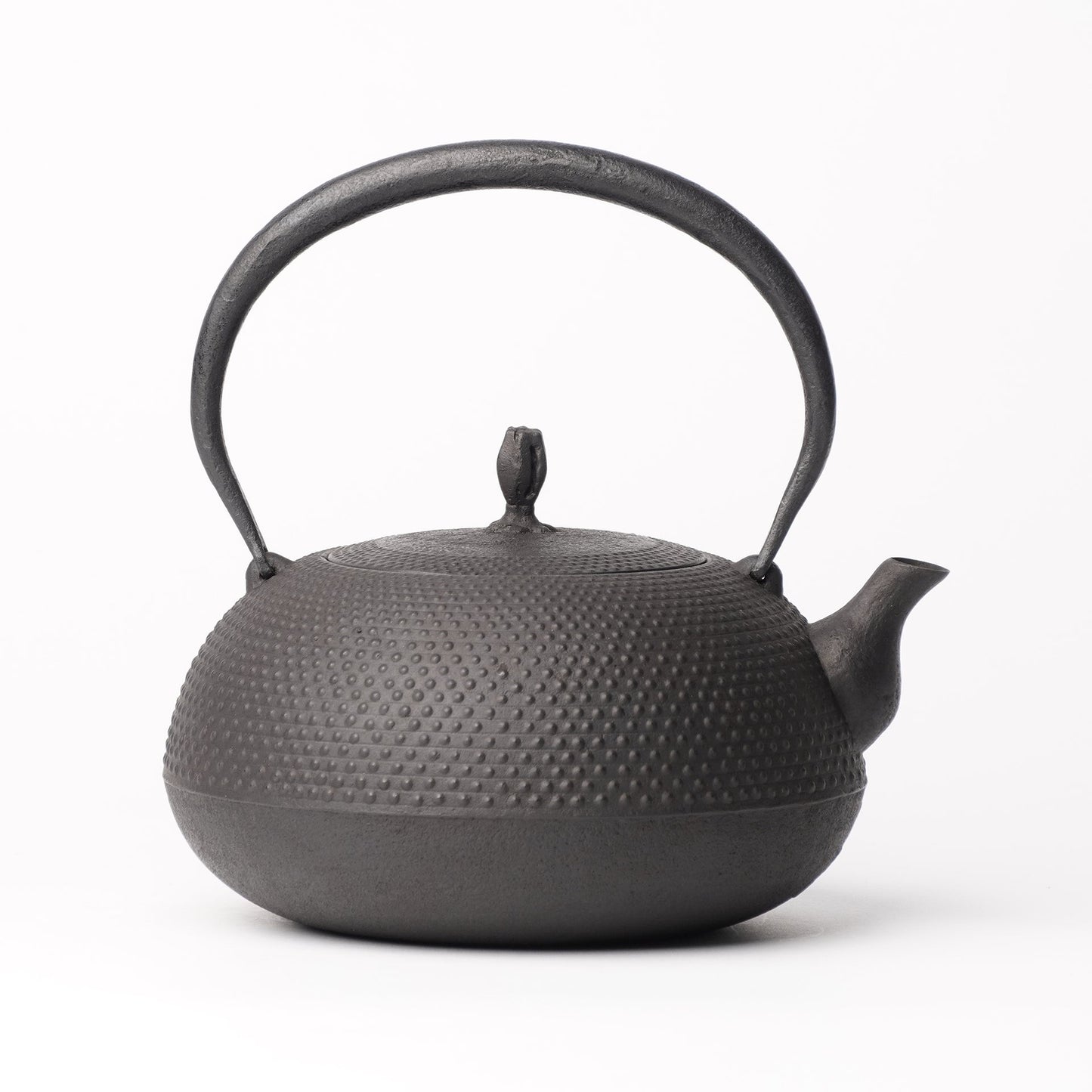 Kamasada Nanbutekki Iron Tea Pot