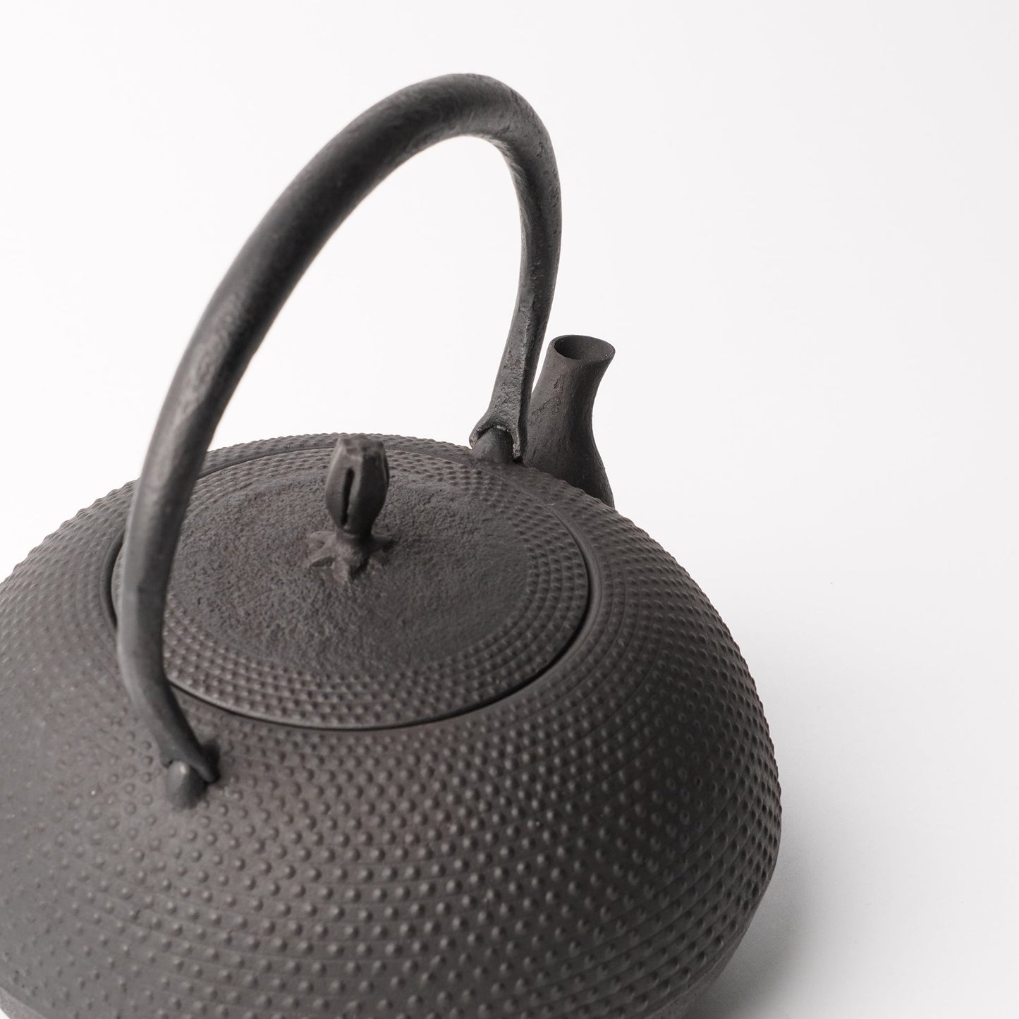 Kamasada Nanbutekki Iron Tea Pot