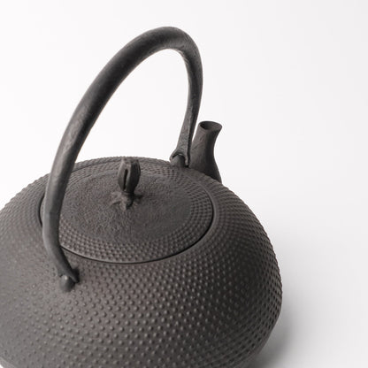 Kamasada Nanbutekki Iron Tea Pot