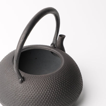 Kamasada Nanbutekki Iron Tea Pot