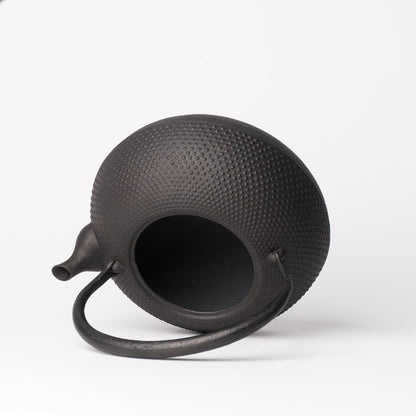 Kamasada Nanbutekki Iron Tea Pot