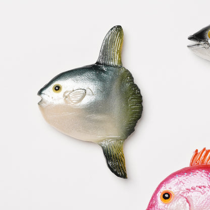 Realistic Japanese Food Sample Magnet - Sunfish