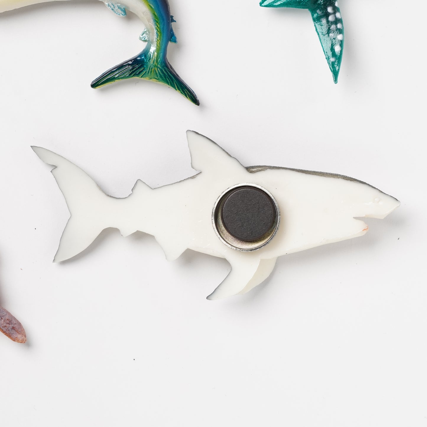Realistic Japanese Food Sample Magnet - Great White Shark