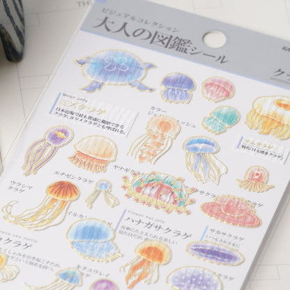 Otona Sticker Series Jellyfish - Encyclopedia for Grown-Ups
