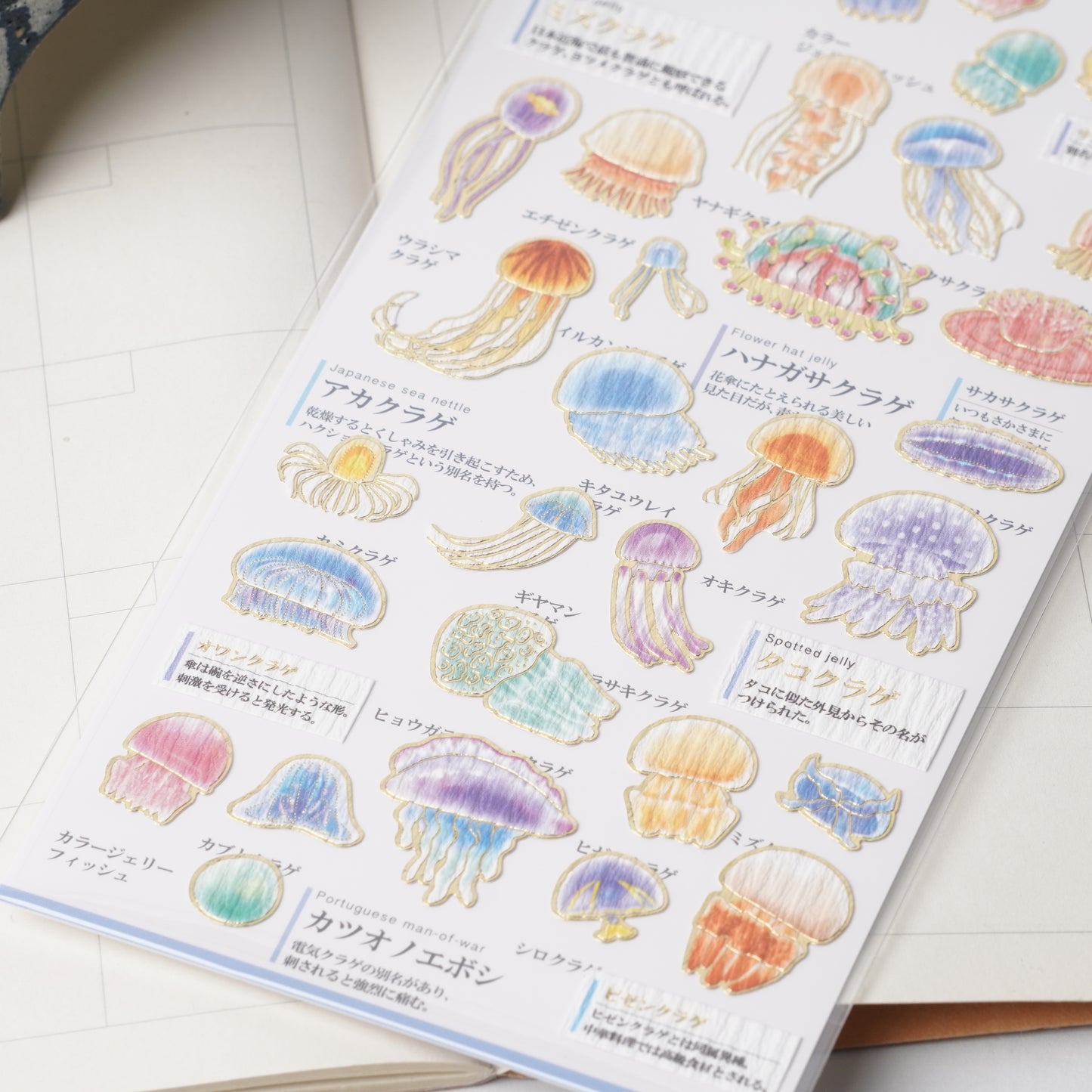 Otona Sticker Series Jellyfish - Encyclopedia for Grown-Ups