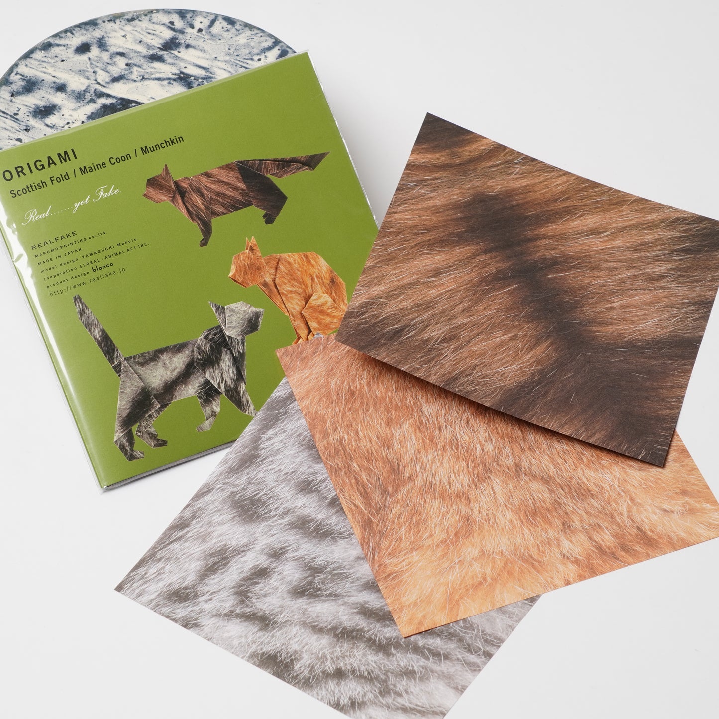 Animal Pattern Origami - Cat Breeds Type H (Maine Coon / Scottish Fold / Munchkin)