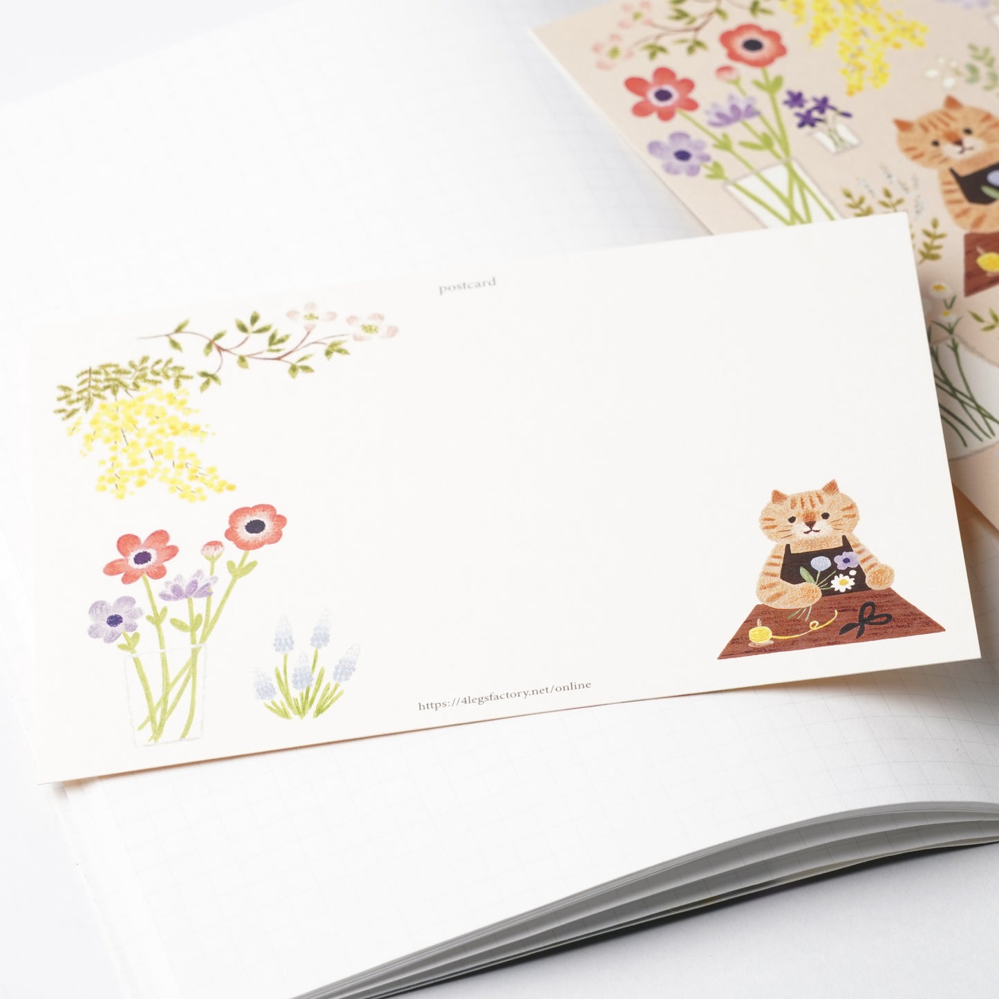 Postcard - Flower Shop Cat