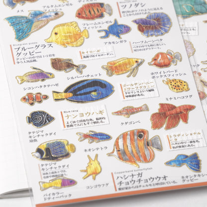 Otona Sticker Series Tropical Fish - Encyclopedia for Grown-Ups