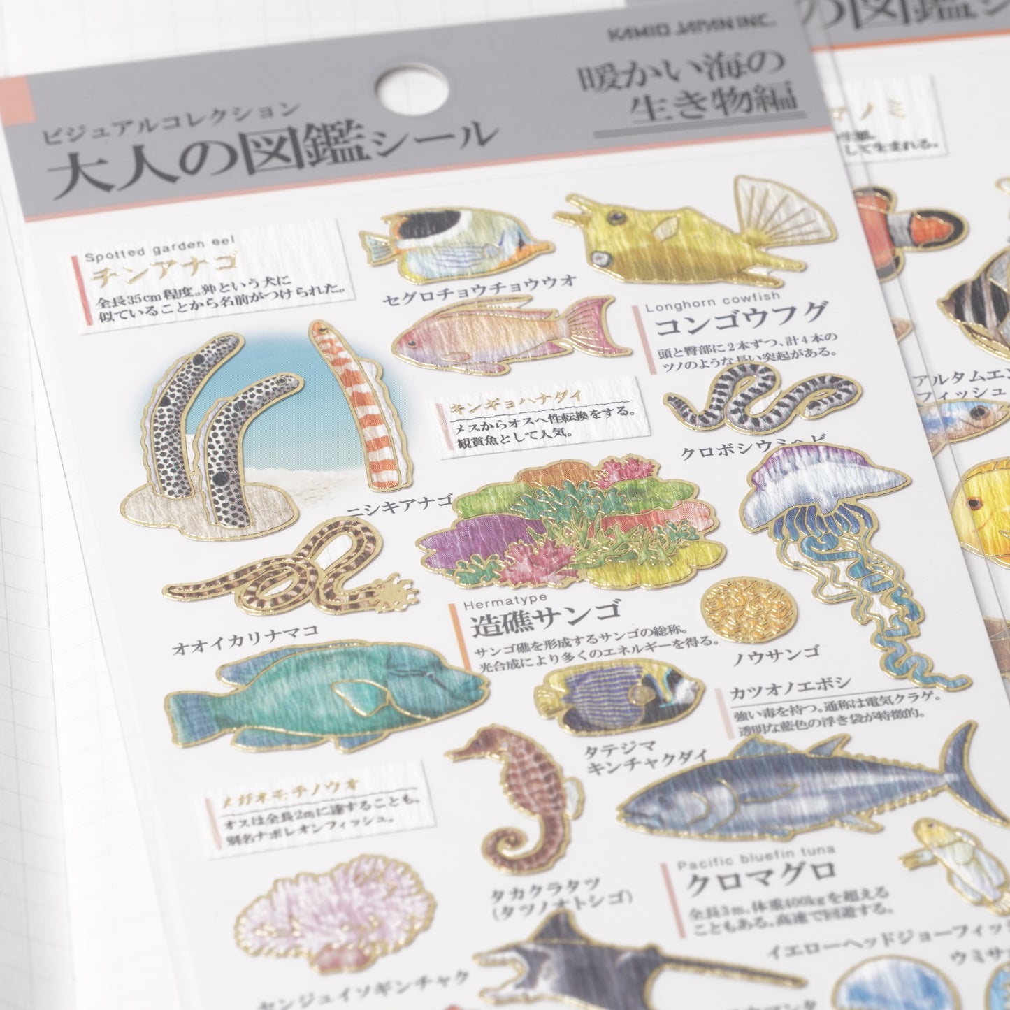 Otona Sticker Series Warm Sea Creatures - Encyclopedia for Grown-Ups