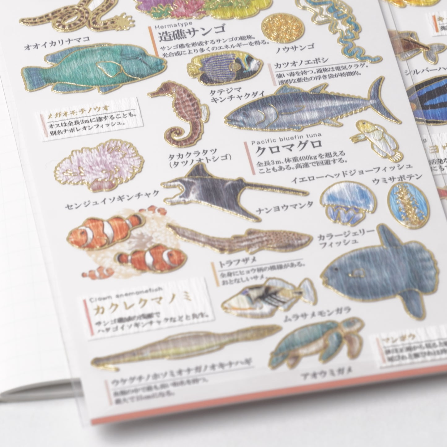 Otona Sticker Series Warm Sea Creatures - Encyclopedia for Grown-Ups
